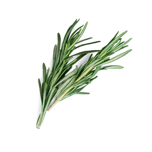 Perfumes Aromáticos