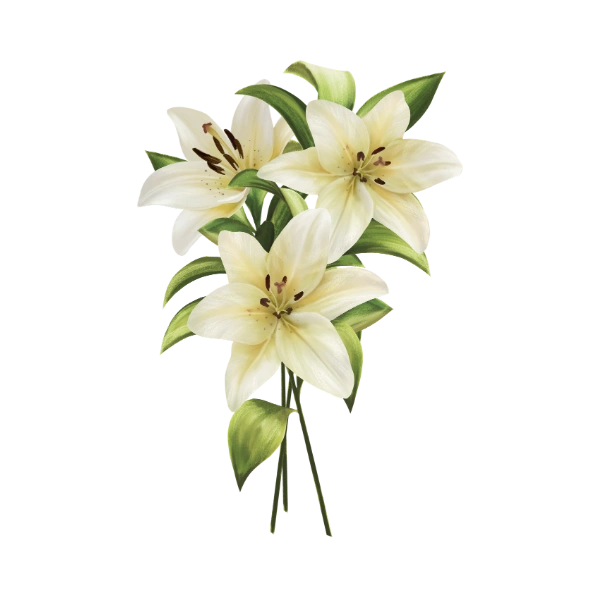 Perfumes Florales