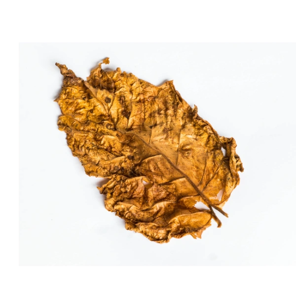 Perfumes de Tabaco