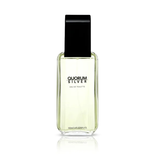 Antonio Puig Quorum Silver Eau de Toilette 100 ml